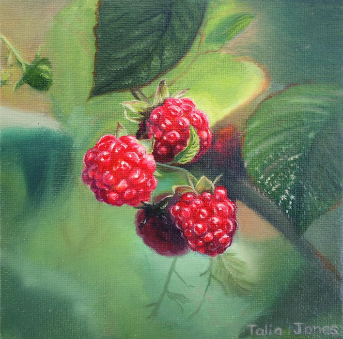 Wild Raspberries