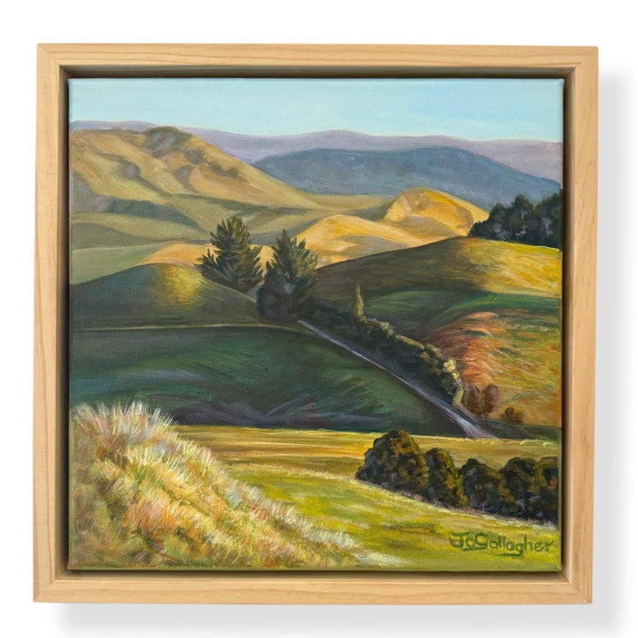 King Country Study 6