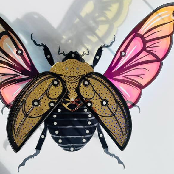 Golden Scarab Beetle