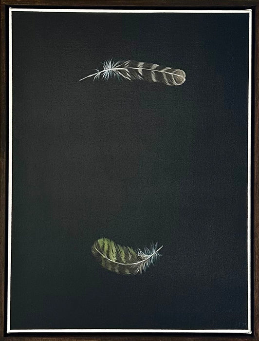 Two Birds (Ruru, Kakapō)