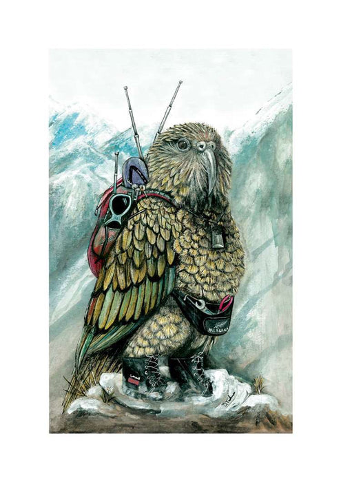 Kino the Kea